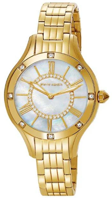 Pierre Cardin 105052f06 Bayan Kol Saati