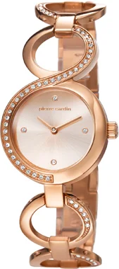 Pierre Cardin 106602f04 Bayan Kol Saati