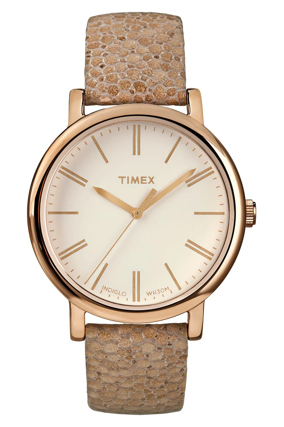 TIMEX T2P325 Erkek Kol Saati