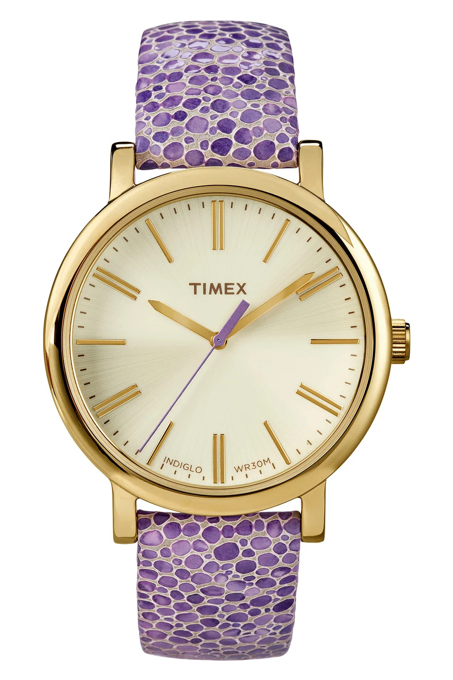 TIMEX T2P326 Erkek Kol Saati