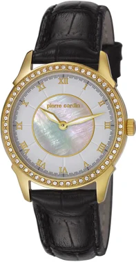 106062f06 Pierre Cardin  Kol Saati