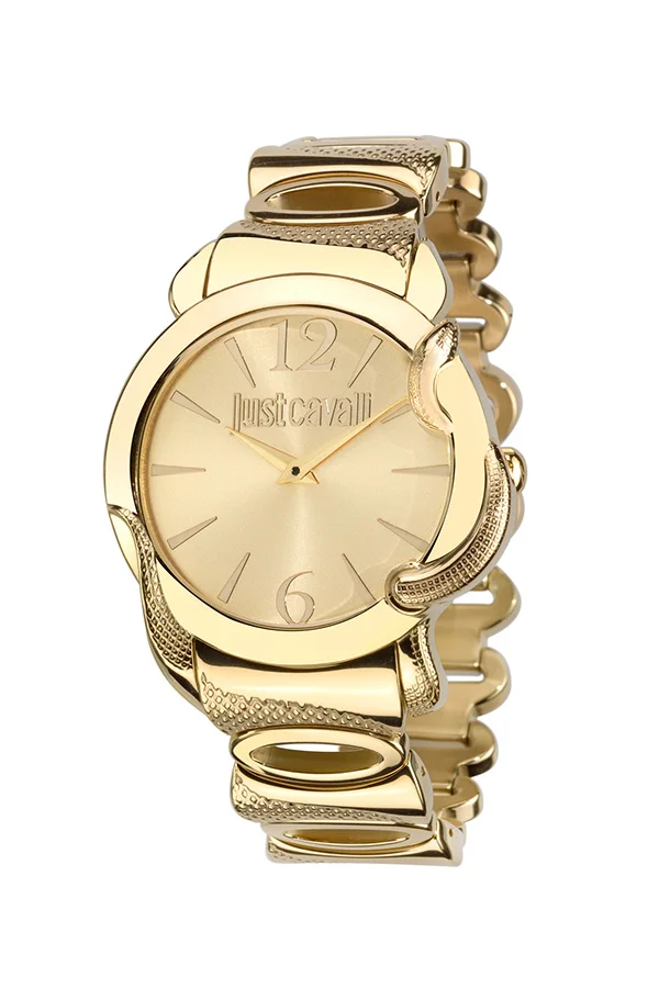 Just Cavalli R7253576501 Kol Saati