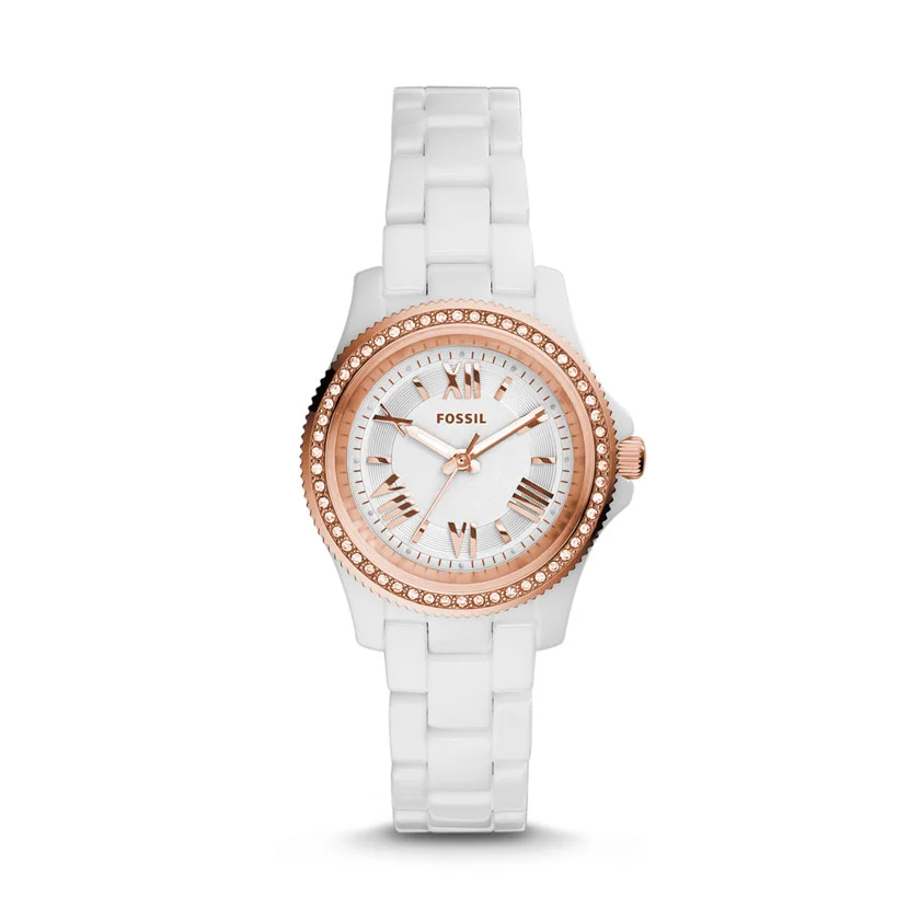 Fossil CE1083 Bayan Kol Saati