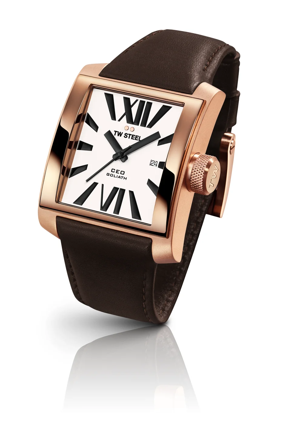 TW Steel CE3008 Erkek Kol Saati