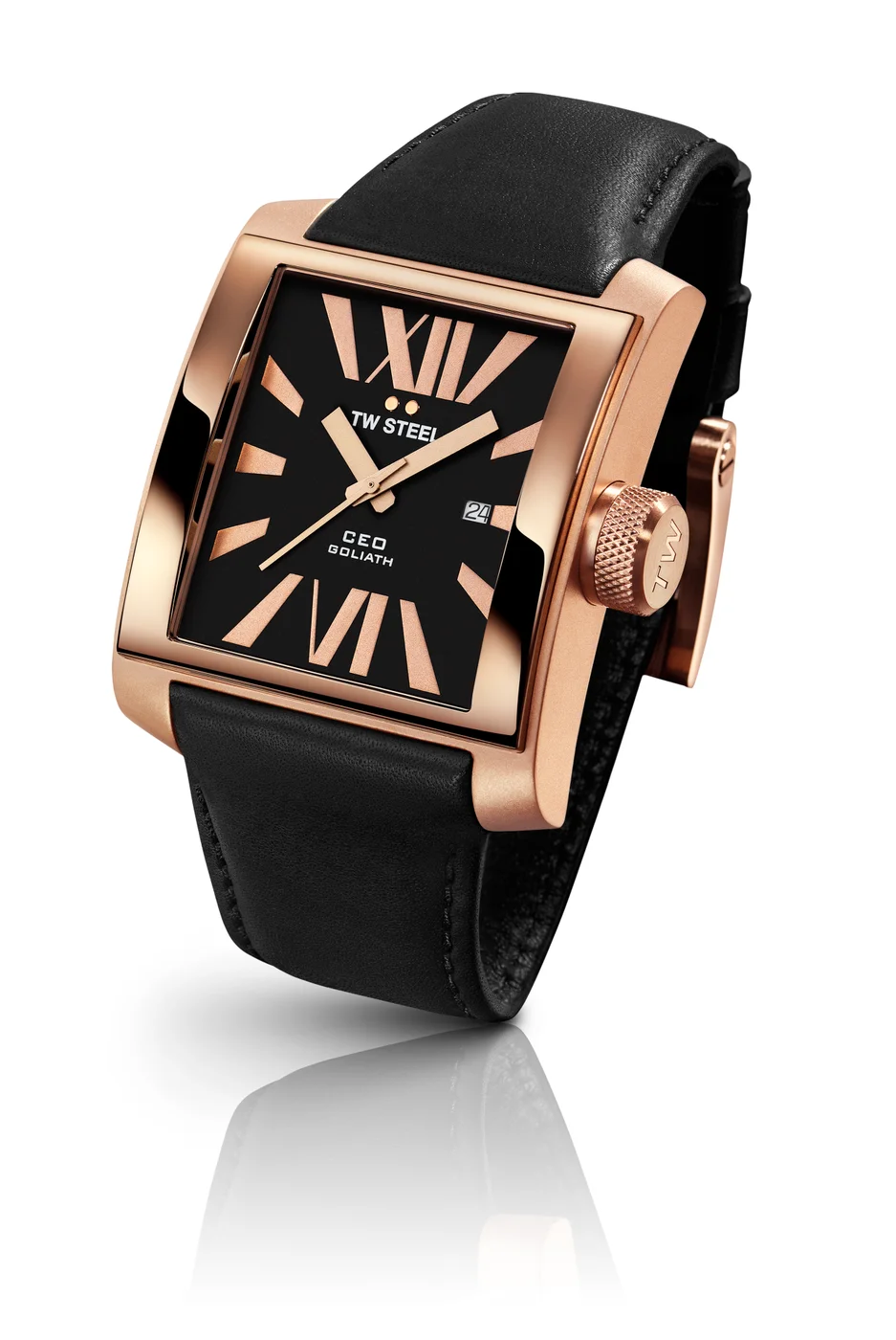 TW Steel CE3011 Erkek Kol Saati