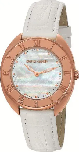 Pierre Cardin 104972f09 Bayan Kol Saati