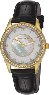106062f06 Pierre Cardin  Kol Saati