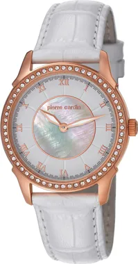 106062f04 Pierre Cardin  Kol Saati