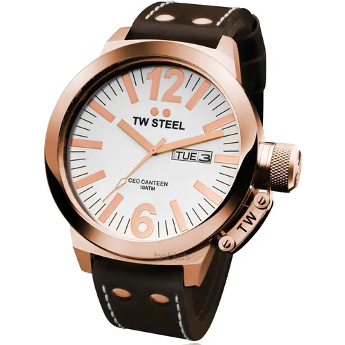 TW Steel CE1017 Canteen CEO ERKEK Steel RG 45mm