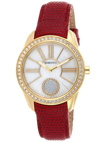 Dw227g-09bg - Momentus Bayan Kol Saati - Dw227g-09bg