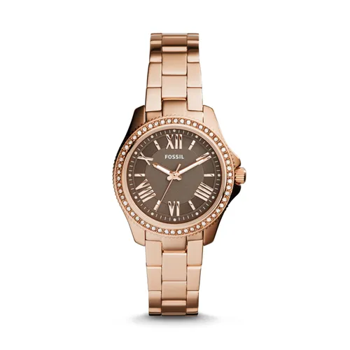 Fossil AM4615 Bayan Kol Saati