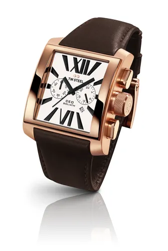 TW Steel CE3009 Erkek Kol Saati