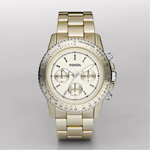 Fossil CH2708 Bayan Kol Saati